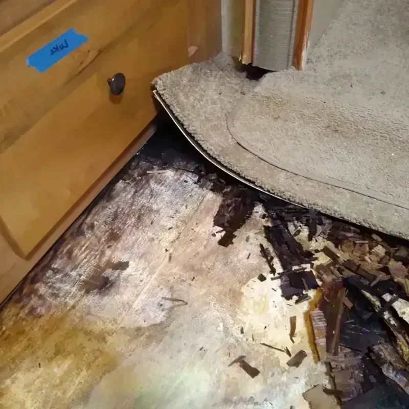 Best Wood Floor Water Damage Service in Perry Hall, MD